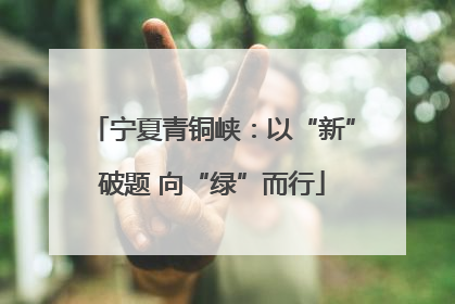 宁夏青铜峡：以“新”破题 向“绿”而行