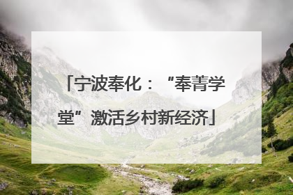 宁波奉化：“奉菁学堂”激活乡村新经济