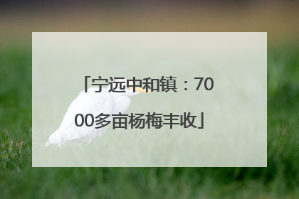 宁远中和镇：7000多亩杨梅丰收
