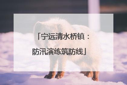 宁远清水桥镇：防汛演练筑防线