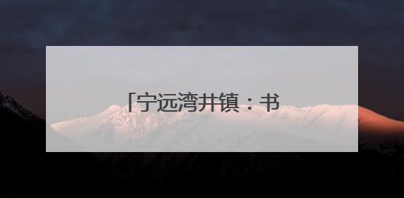宁远湾井镇：书林翰墨传情谊