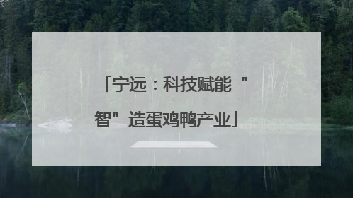 宁远：科技赋能“智”造蛋鸡鸭产业