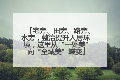 宅旁、田旁、路旁、水旁，整治提升人居环境，这里从“一处美”向“全域美”蝶变
