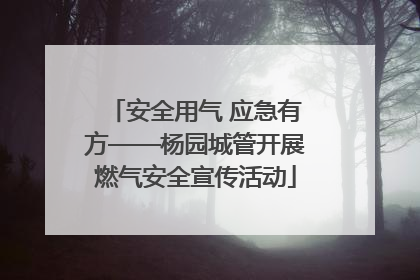 安全用气 应急有方——杨园城管开展燃气安全宣传活动