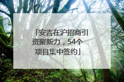 安吉在沪招商引资聚新力，54个项目集中签约