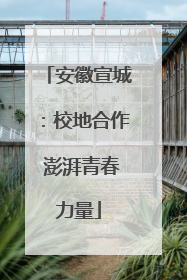 安徽宣城：校地合作 澎湃青春力量