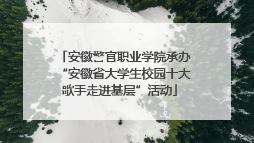 安徽警官职业学院承办“安徽省大学生校园十大歌手走进基层”活动