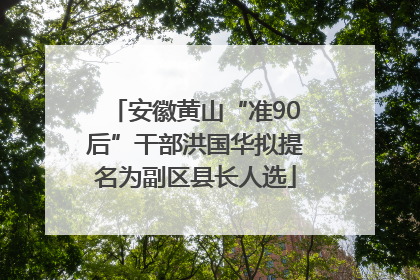 安徽黄山“准90后”干部洪国华拟提名为副区县长人选