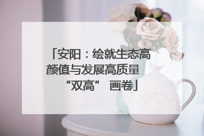 安阳：绘就生态高颜值与发展高质量 “双高” 画卷