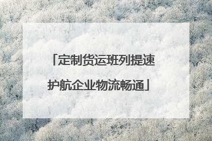 定制货运班列提速 护航企业物流畅通