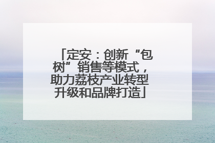定安：创新“包树”销售等模式，助力荔枝产业转型升级和品牌打造