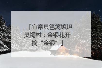 宜章县笆篱镇坦灵祠村：金银花开摘“金银”