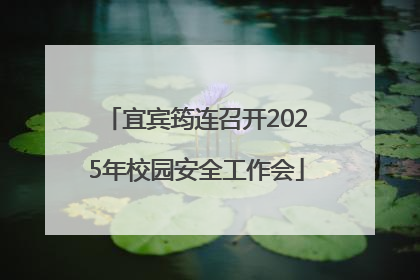 宜宾筠连召开2025年校园安全工作会