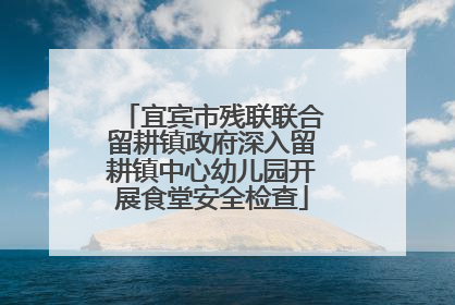 宜宾市残联联合留耕镇政府深入留耕镇中心幼儿园开展食堂安全检查