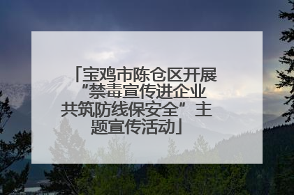 宝鸡市陈仓区开展“禁毒宣传进企业 共筑防线保安全”主题宣传活动