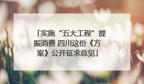 实施“五大工程”提振消费 四川这份《方案》公开征求意见