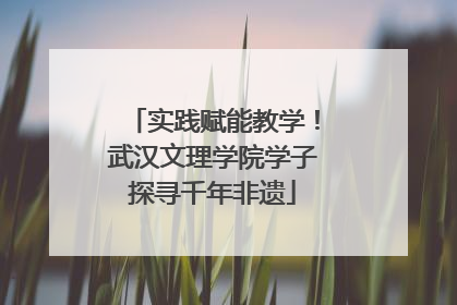 实践赋能教学！武汉文理学院学子探寻千年非遗