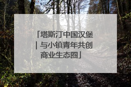 塔斯汀中国汉堡｜与小镇青年共创商业生态圈