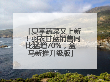 夏季蔬菜又上新！羽衣甘蓝销售同比猛增70%，盒马新推升级版
