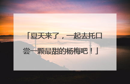 夏天来了，一起去托口尝一颗最甜的杨梅吧！