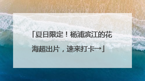 夏日限定！杨浦滨江的花海超出片，速来打卡→