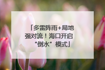 多雷阵雨+局地强对流！海口开启“倒水”模式