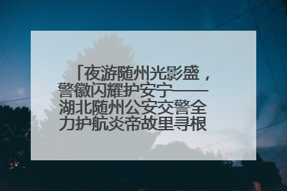 夜游随州光影盛，警徽闪耀护安宁——湖北随州公安交警全力护航炎帝故里寻根节夜游活动侧记