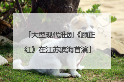 大型现代淮剧《顾正红》在江苏滨海首演