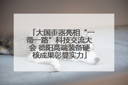 大国重器亮相“一带一路”科技交流大会 德阳高端装备硬核成果彰显实力