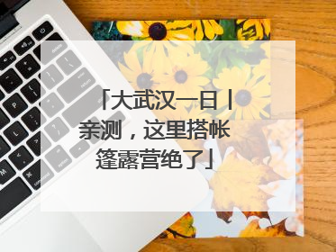 大武汉一日丨亲测，这里搭帐篷露营绝了