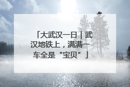 大武汉一日｜武汉地铁上，满满一车全是“宝贝”