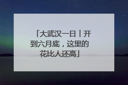 大武汉一日︱开到六月底，这里的花比人还高