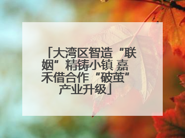大湾区智造“联姻”精铸小镇 嘉禾借合作“破茧”产业升级