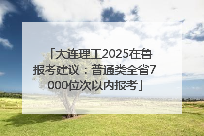 大连理工2025在鲁报考建议：普通类全省7000位次以内报考