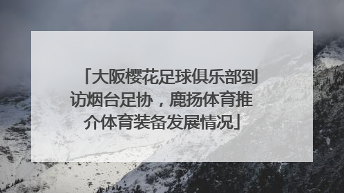 大阪樱花足球俱乐部到访烟台足协，鹿扬体育推介体育装备发展情况