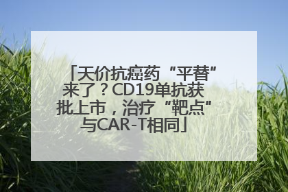 天价抗癌药“平替”来了？CD19单抗获批上市，治疗“靶点”与CAR-T相同