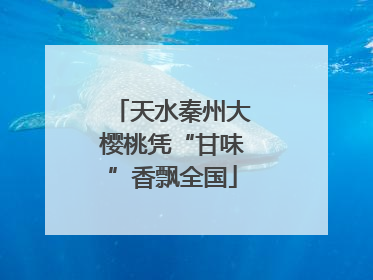 天水秦州大樱桃凭“甘味”香飘全国
