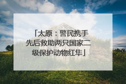 太原：警民携手 先后救助两只国家二级保护动物红隼