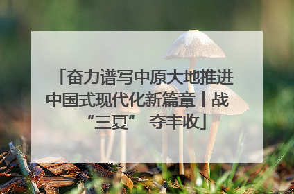 奋力谱写中原大地推进中国式现代化新篇章丨战“三夏” 夺丰收