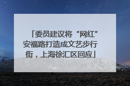 委员建议将“网红”安福路打造成文艺步行街，上海徐汇区回应
