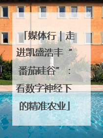 媒体行｜走进凯盛浩丰“番茄硅谷”：看数字神经下的精准农业