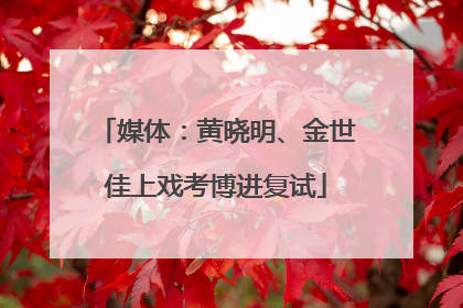 媒体：黄晓明、金世佳上戏考博进复试