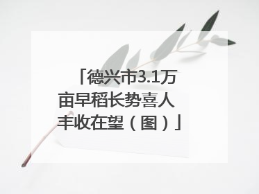 德兴市3.1万亩早稻长势喜人 丰收在望（图）