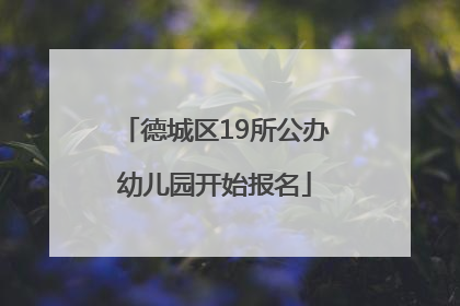 德城区19所公办幼儿园开始报名