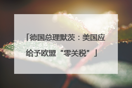 德国总理默茨：美国应给予欧盟“零关税”