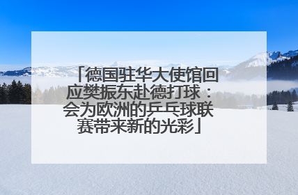 德国驻华大使馆回应樊振东赴德打球：会为欧洲的乒乓球联赛带来新的光彩