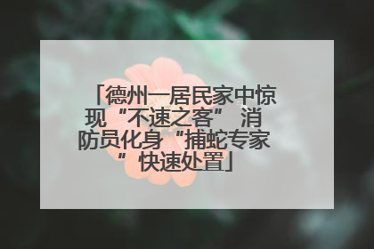 德州一居民家中惊现“不速之客” 消防员化身“捕蛇专家”快速处置