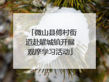 微山县傅村街道赴驩城镇开展观摩学习活动