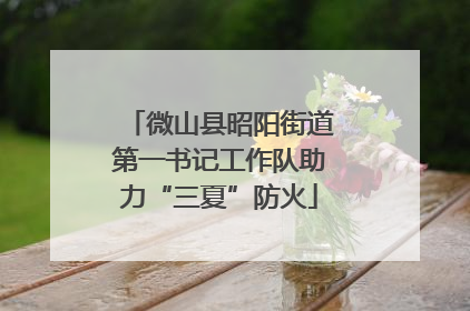 微山县昭阳街道第一书记工作队助力“三夏”防火