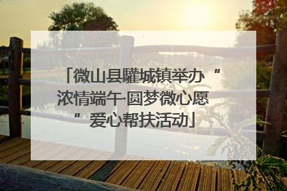微山县驩城镇举办“浓情端午·圆梦微心愿”爱心帮扶活动